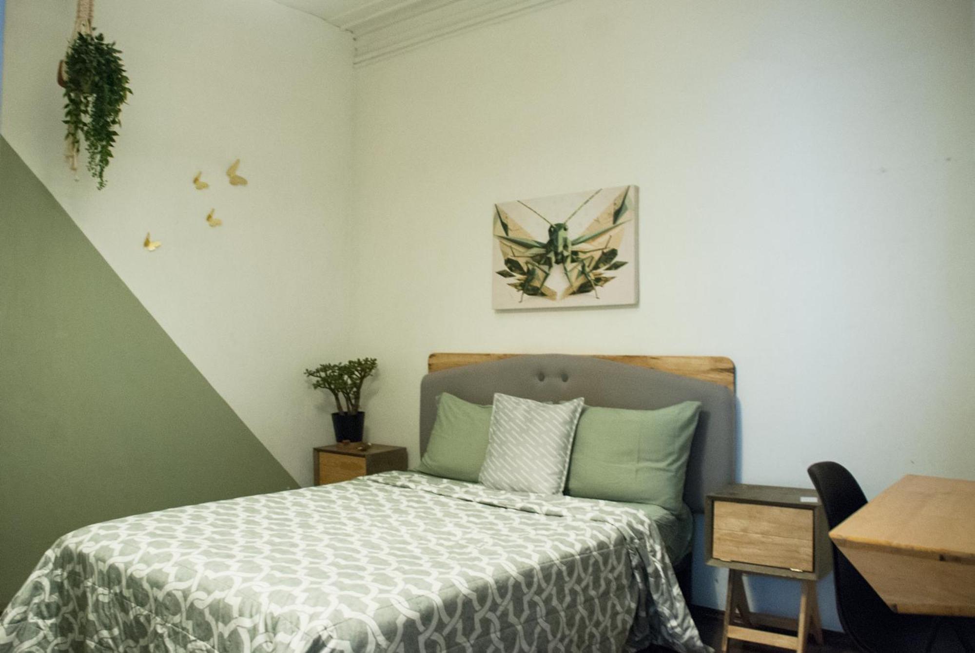 Habitación Individual Económica